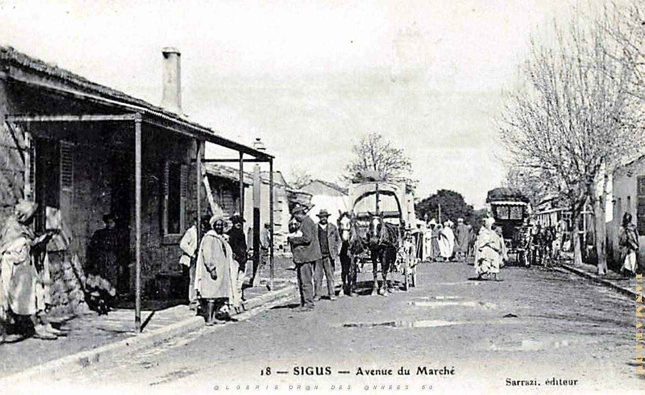 2876- Sigus - Avenue du Marche.jpg